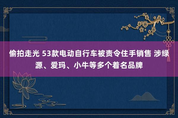 偷拍走光 53款电动自行车被责令住手销售 涉绿源、爱玛、小牛等多个着名品牌