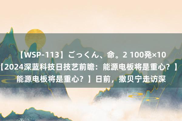 【WSP-113】ごっくん、命。2 100発×100人×一撃ごっくん 【2024深蓝科技日技艺前瞻：能源电板将是重心？】日前，撒贝宁走访深