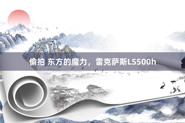 偷拍 东方的魔力，雷克萨斯LS500h