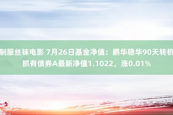 制服丝袜电影 7月26日基金净值：鹏华稳华90天转机抓有债券A最新净值1.1022，涨0.01%