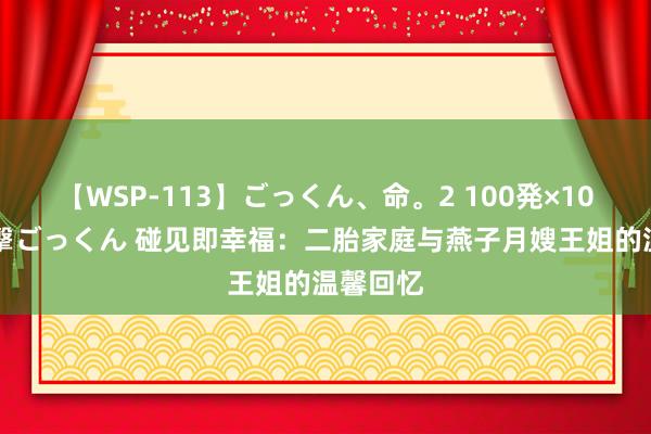 【WSP-113】ごっくん、命。2 100発×100人×一撃ごっくん 碰见即幸福：二胎家庭与燕子月嫂王姐的温馨回忆