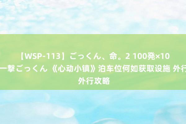 【WSP-113】ごっくん、命。2 100発×100人×一撃ごっくん 《心动小镇》泊车位何如获取设施 外行攻略