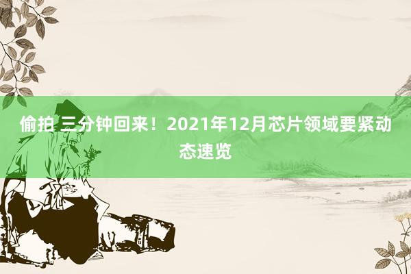 偷拍 三分钟回来！2021年12月芯片领域要紧动态速览