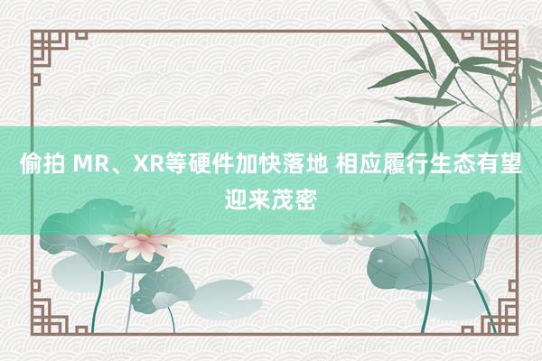 偷拍 MR、XR等硬件加快落地 相应履行生态有望迎来茂密