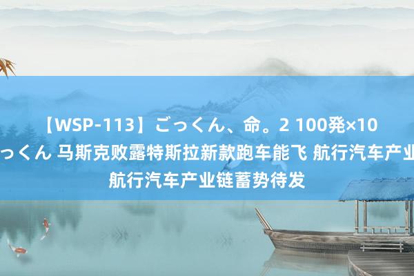 【WSP-113】ごっくん、命。2 100発×100人×一撃ごっくん 马斯克败露特斯拉新款跑车能飞 航行汽车产业链蓄势待发