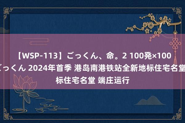 【WSP-113】ごっくん、命。2 100発×100人×一撃ごっくん 2024年首季 港岛南港铁站全新地标住宅名堂 端庄运行