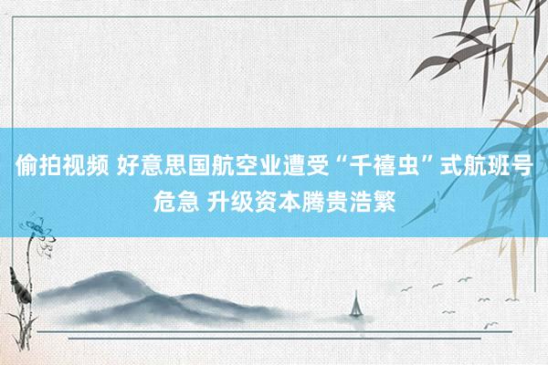 偷拍视频 好意思国航空业遭受“千禧虫”式航班号危急 升级资本腾贵浩繁