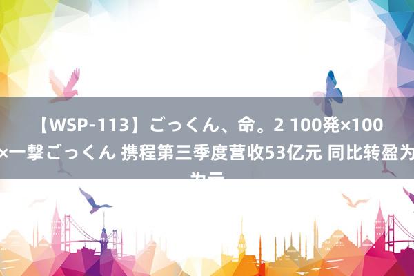 【WSP-113】ごっくん、命。2 100発×100人×一撃ごっくん 携程第三季度营收53亿元 同比转盈为亏