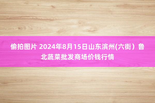 偷拍图片 2024年8月15日山东滨州(六街）鲁北蔬菜批发商场价钱行情