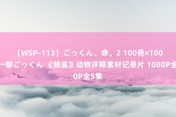 【WSP-113】ごっくん、命。2 100発×100人×一撃ごっくん 《鲸鲨》动物评释素材记录片 1080P全5集