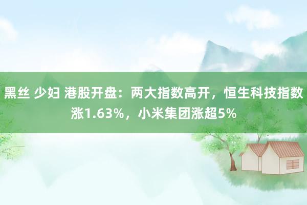 黑丝 少妇 港股开盘：两大指数高开，恒生科技指数涨1.63%，小米集团涨超5%