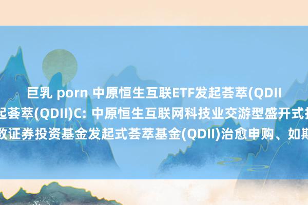 巨乳 porn 中原恒生互联ETF发起荟萃(QDII)A，中原恒生互联ETF发起荟萃(QDII)C: 中原恒生互联网科技业交游型盛开式指数证券投资基金发起式荟萃基金(QDII)治愈申购、如期定额申购及窜改转入业务名额的公告