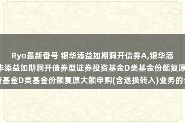 Ryo最新番号 银华添益如期洞开债券A，银华添益如期洞开债券D: 银华添益如期洞开债券型证券投资基金D类基金份额复原大额申购(含退换转入)业务的公告