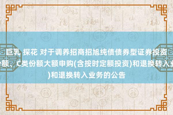 巨乳 探花 对于调养招商招旭纯债债券型证券投资基金A类份额、C类份额大额申购(含按时定额投资)和退换转入业务的公告