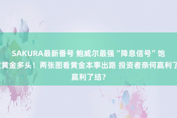 SAKURA最新番号 鲍威尔最强“降息信号”饱读吹黄金多头！两张图看黄金本事出路 投资者奈何赢利了结？