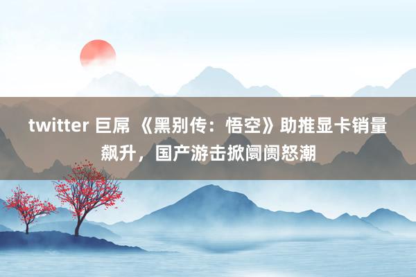 twitter 巨屌 《黑别传：悟空》助推显卡销量飙升，国产游击掀阛阓怒潮