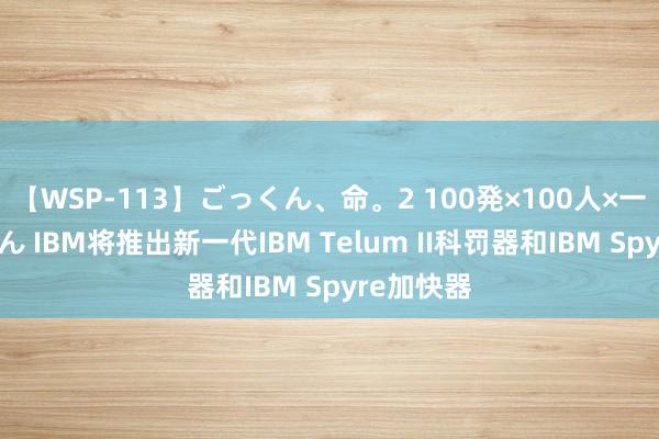 【WSP-113】ごっくん、命。2 100発×100人×一撃ごっくん IBM将推出新一代IBM Telum II科罚器和IBM Spyre加快器