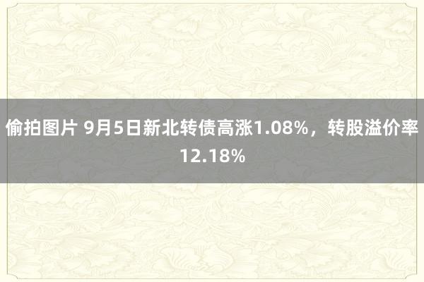 偷拍图片 9月5日新北转债高涨1.08%，转股溢价率12.18%