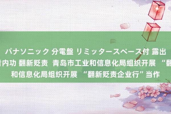 パナソニック 分電盤 リミッタースペース付 露出・半埋込両用形 修皆内功 翻新贬责  青岛市工业和信息化局组织开展  “翻新贬责企业行”当作