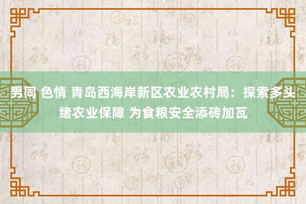 男同 色情 青岛西海岸新区农业农村局：探索多头绪农业保障 为食粮安全添砖加瓦