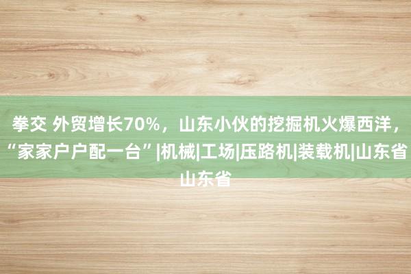 拳交 外贸增长70%，山东小伙的挖掘机火爆西洋，“家家户户配一台”|机械|工场|压路机|装载机|山东省