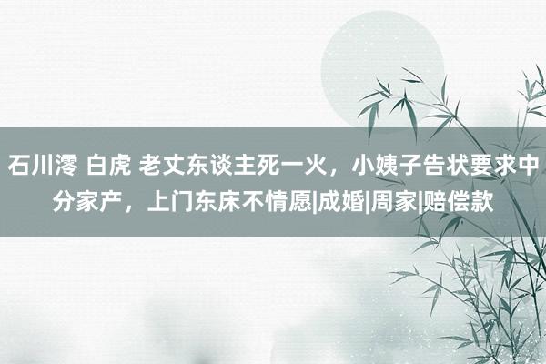 石川澪 白虎 老丈东谈主死一火，小姨子告状要求中分家产，上门东床不情愿|成婚|周家|赔偿款