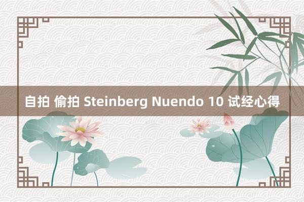 自拍 偷拍 Steinberg Nuendo 10 试经心得